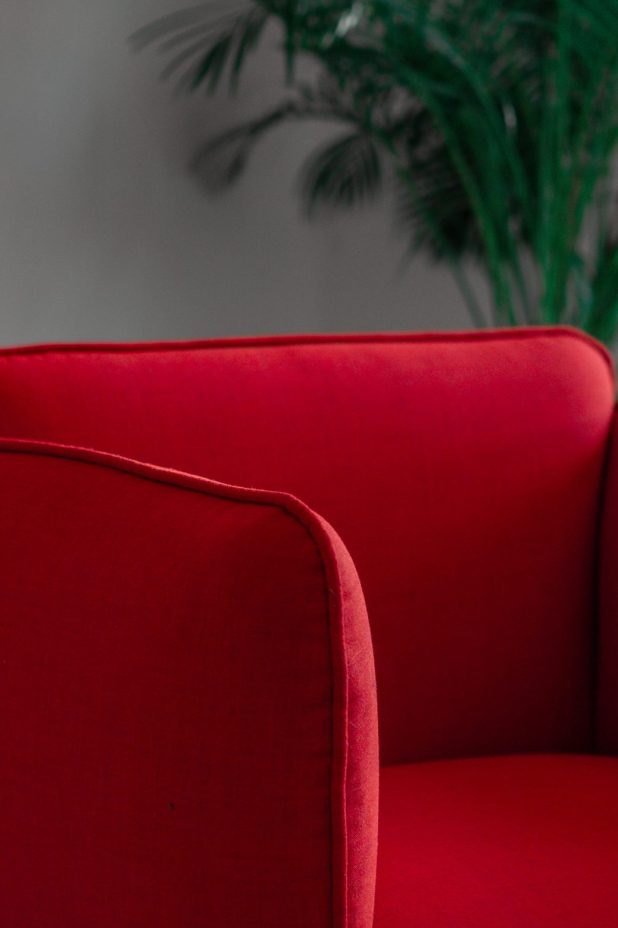red sofa chair near green plant